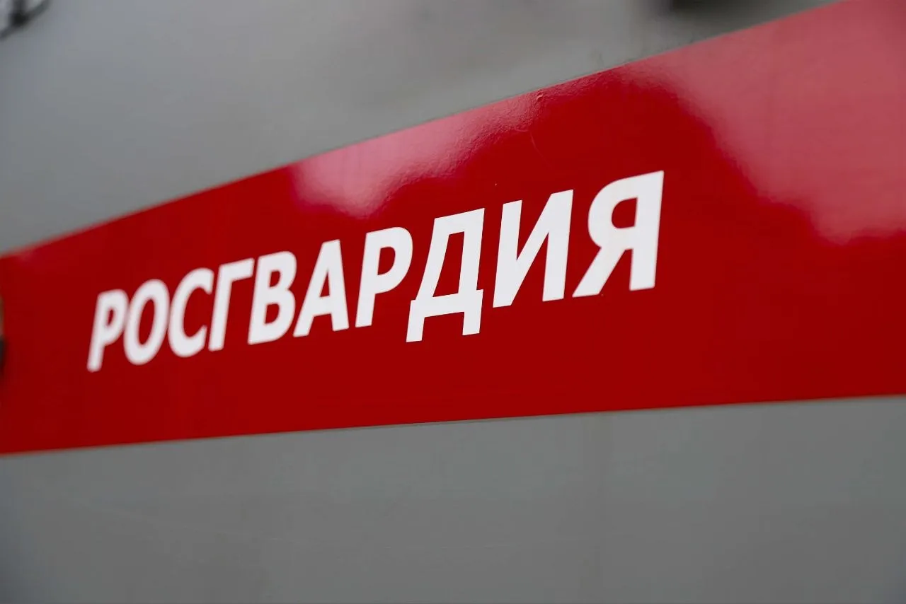 В Тульской области при содействии спецназа Росгвардии пресечен незаконный оборот наркосодержащих растений и взрывчатых веществ В городе Донском бойцы ОМОН Молот регионального управления Росгвардии оказали силовую поддержку полицейским при задержании подозреваемого в незаконном обороте наркосодержащих растений и взрывчатых веществ В ходе обыска в жилище ранее судимого 58 летнего мужчины изъято около 3 килограммов наркотиков а также пластинчатый порох промышленного изготовления общей массой свыше 1 4 килограмма Возбуждены уголовные дела  Росгвардия Центральный округ Подписывайтесь на наш канал в MAX