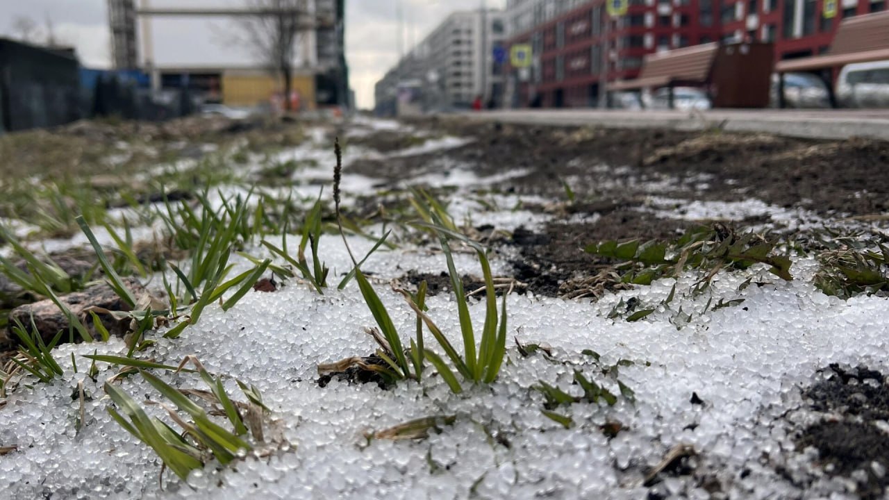 Зима в Москве и Московской области будет укорачиваться с каждым годом, говорят синоптики  Холодные месяцы станут мягче, а лето будет длиннее и жарче.  Но это уже и так ощущается...