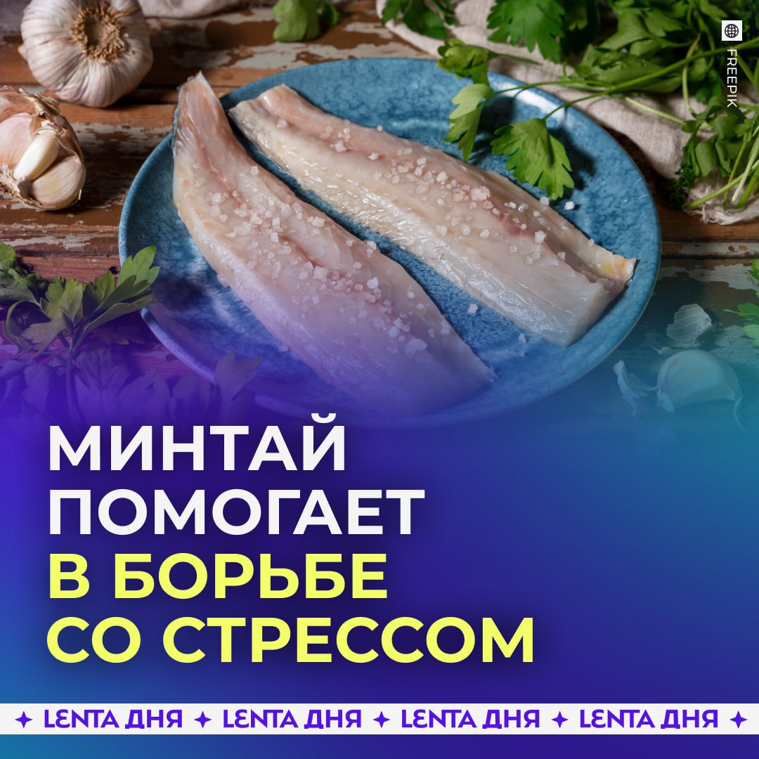Минтай оказался помощником в борьбе со стрессом Минтай может поддерживать нервную систему благодаря высокому содержанию селена заявила врач нутрициолог Этот микроэлемент работает в связке с йодом и аминокислотами помогая организму выстраивать защиту от хронического напряжения и выгорания По словам специалиста селен участвует в работе антиоксидантных ферментов и особенно важен для жителей крупных городов где нагрузка и уровень стресса выше Отдельно эксперт отметила икру минтая которая богата лецитином который поддерживает работу мозга память и концентрацию   едим рыбку и снимаем тревожность Подпишись на Ленту дня в MAX Участвуй в розыгрыше