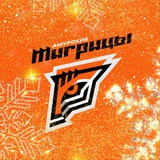 «Амурские Тигрицы» | Волейбольный клуб