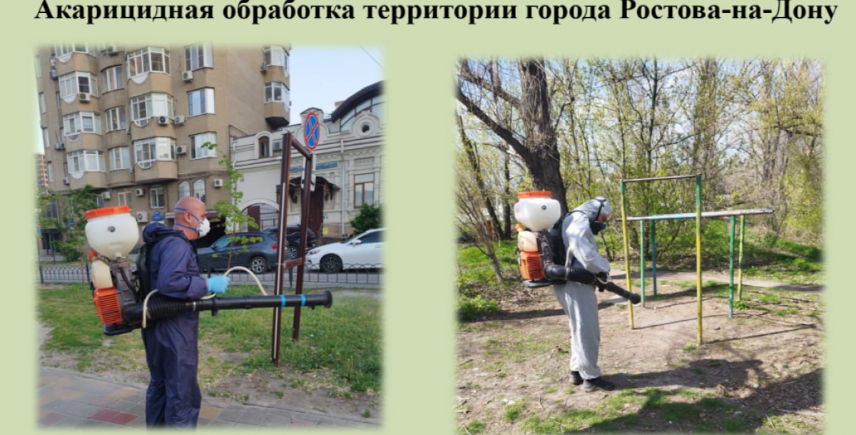 В Ростове в этом сезоне в несколько раз увеличили площадь противоклещевой обработки  Глава города Александр Скрябин провел расширенное планерное совещание, в котором приняли участие председатель городской Думы Зинаида Неярохина, исполняющий обязанности прокурора города Михаил Скобелев, начальник Управления МВД России по городу Ростову-на-Дону Александр Козырев, председатель городской общественной палаты Михаил Чернышев, заместители главы Администрации города, главы районов, руководители департаментов и управлений.    Повестка подобных встреч формируется на основе важных для ростовчан тем. Один из ключевых вопросов, которые рассмотрели - прототивоклещевая обработка зон массового отдыха для обеспечения безопасности жителей.    С докладом выступил заместитель главы Администрации города Ростова-на-Дону по жилищно-коммунальному хозяйству Станислав Марченко. Он отметил, что клещи представляют опасность для человека, поскольку могут переносить смертельные инфекционные заболевания. К ним относятся болезнь Лайма  боррелиоз , клещевой энцефалит, эрлихиозы. Эти инфекции протекают очень тяжело, имеют хроническое течение и длительный реабилитационный период, могут приводить к инвалидности и даже летальному исходу.    Большую роль в борьбе с вредителями играют мероприятия по противоклещевой обработке природных очагов их обитания: парков, скверов, лесов. Одним словом, местностей, где есть растительность.   Подписаться на "Новости Ростова"    Прислать новость