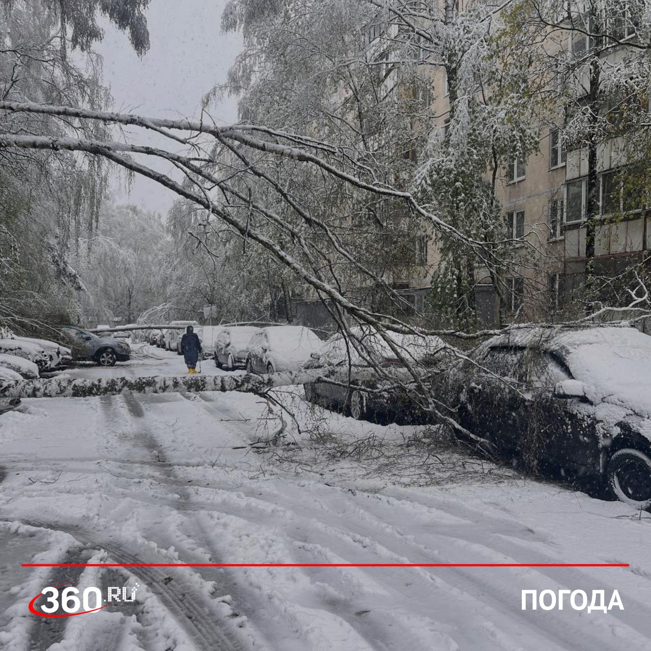 Россети перебрасывают мобильные бригады из пяти регионов в Подмосковье. ПАО «Россети» оперативно реагирует на последствия шторма в Московской области, где повреждены линии электропередач и инфраструктура. Для ускорения восстановления энергоснабжения принято решение перебросить дополнительные мобильные бригады из Смоленска, Калуги, Тулы, Рязани и Нижнего Новгорода. Часть команд уже в пути, остальные готовятся к отправке. Энергетики работают в круглосуточном режиме, чтобы вернуть свет в дома жителей. Совместно с МБУ «ДЕЗ», СолнСпас, МосАвтоДор и ПСЧ № 67 бригады устраняют аварии и восстанавливают порядок. Заметили повреждения ЛЭП? Сообщайте: «Светлая линия»: 8-800-220-0-220 или 220 «Мособлэнерго»: 8-495-99-500-99
