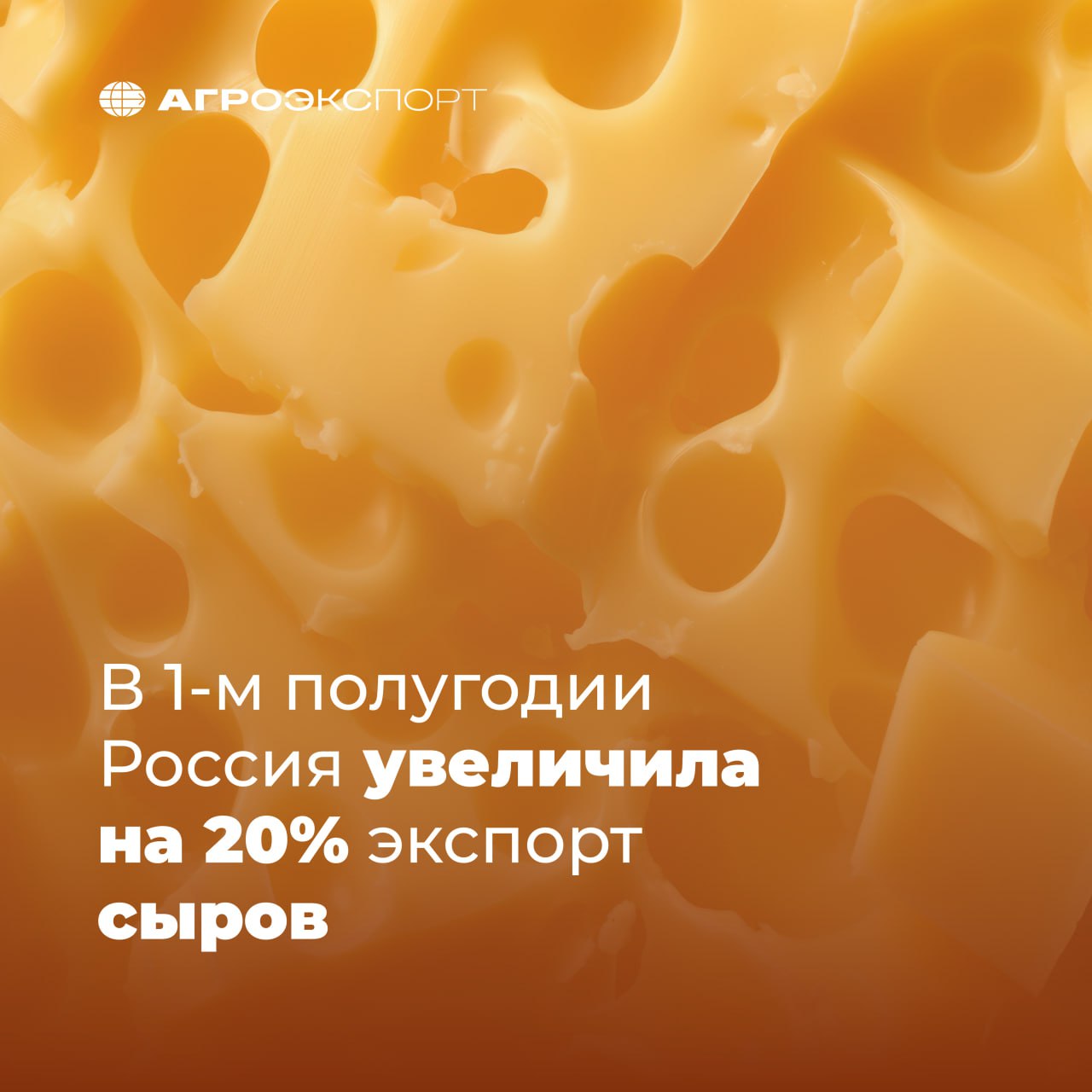 В 1-м полугодии Россия увеличила на 20% экспорт сыров По предварительным оценкам, с января по июнь 2025 года Россия поставила за рубеж сыров и творога стоимостью 70 млн долл., что на 20% больше аналогичного периода прошлого года. В физическом выражении объем экспорта составил 14 тыс. тонн. Драйвером развития экспорта в текущем году стали молодые сыры, показавшие рост на 33%, до 33 млн долл. Позитивная динамика наблюдается и в зарубежных продажах плавленых сыров – второй по объему категории. За 6 месяцев поставки плавленых сыров выросли на 16% год к году, до 25 млн долл. Основными покупателями российских сыров остаются Казахстан и Беларусь. В первой половине текущего года экспорт этой продукции в Казахстан вырос на 15%, а в Беларусь – на 39%. В топ-5 ведущих импортеров также входят Узбекистан, Киргизия и Азербайджан. «Страны постсоветского пространства являются традиционными рынками сбыта российских сыров, что связано со схожими пищевыми предпочтениями, логистической близостью, а также высокой узнаваемостью и доверием к российским брендам. В то же время расширяются поставки и в дальнее зарубежье. Так, с начала года более 143 тонны сыров и творога поставлено в Монголию, 57 тонн – в Китай, 14 тонн – ОАЭ, 7 тонн – Сербию, 5 тонн – Турцию», – отмечает руководитель Федерального центра «Агроэкспорт» Илья Ильюшин. По данным «Агроэкспорта», потенциал российского экспорта сыров к 2030 году оценивается на уровне свыше 180 млн долл. В число перспективных направлений, помимо традиционных рынков ближнего зарубежья, входят страны Восточной и Юго-Восточной Азии, а также государства Ближнего Востока. Подробнее об экспорте сыров с комментариями генерального директора Национального союза производителей молока Союзмолоко Марии Жебит и директора по коммерческой деятельности группы компаний «Вамин» Айрата Мухамадеева читайте на сайте «Агроэкспорта». #агроэкспорт #новостиАПК