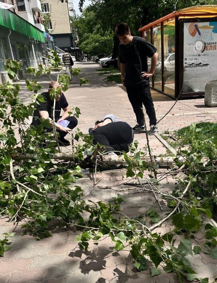 В Ростове дерево упало на женщину — пострадавшую увезли в больницу В Ростове-на-Дону на улице Текучёва, 141, на женщину упало дерево. Инцидент произошёл днём 26 мая. Очевидцы сообщили, что ростовчанка получила травмы — предположительно, у неё перелом ноги. На место происшествия оперативно прибыла скорая помощь. Сегодня в городе сохраняется штормовая погода — по данным синоптиков, порывы ветра могут достигать 20 м/с. Власти и спасатели призывают жителей быть осторожными и по возможности избегать нахождения под деревьями и рядом со слабо закреплёнными конструкциями. Подписаться на "Новости Ростова" Прислать новость