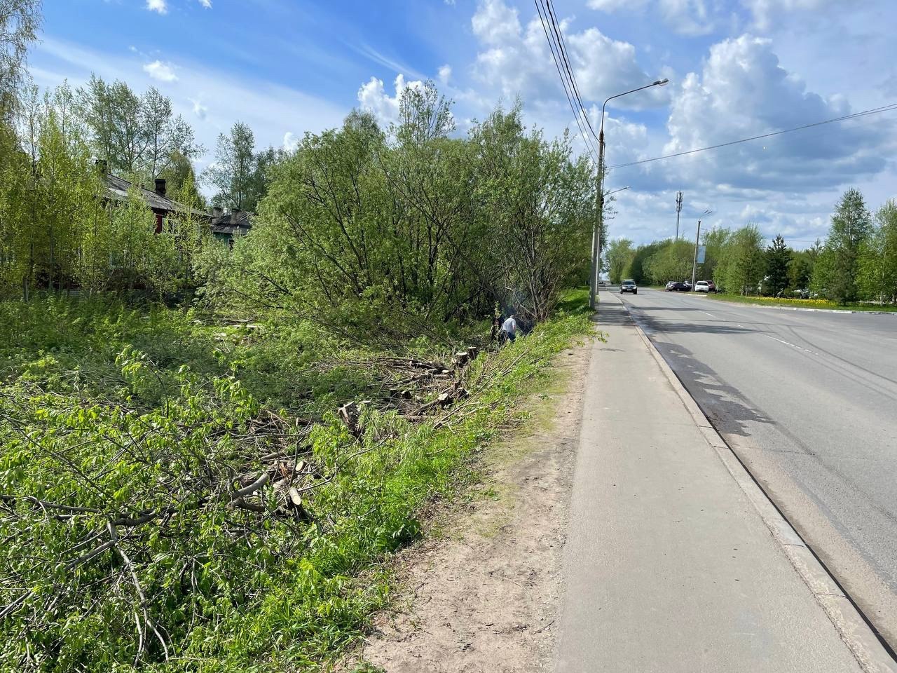 Департамент транспорта городской администрации начал ремонт улицы Ленина Работы планируют завершить до 1 августа, их проводят в рамках муниципального контракта Сейчас рабочие занимаются срезкой кустарника вдоль дороги в районе тех её участков, где появятся новые автобусные остановки с заездными карманами, и где будет обустраиваться новый придорожный тротуар. Починить проезжую часть и снабдить её освещёнными пешеходными переходами планируют в том числе и к новому учебному году, поскольку именно здесь будет проходить маршрут к новой 95 школе на 860 мест в округе Майская горка.