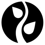 Rajdian — [ӕ]