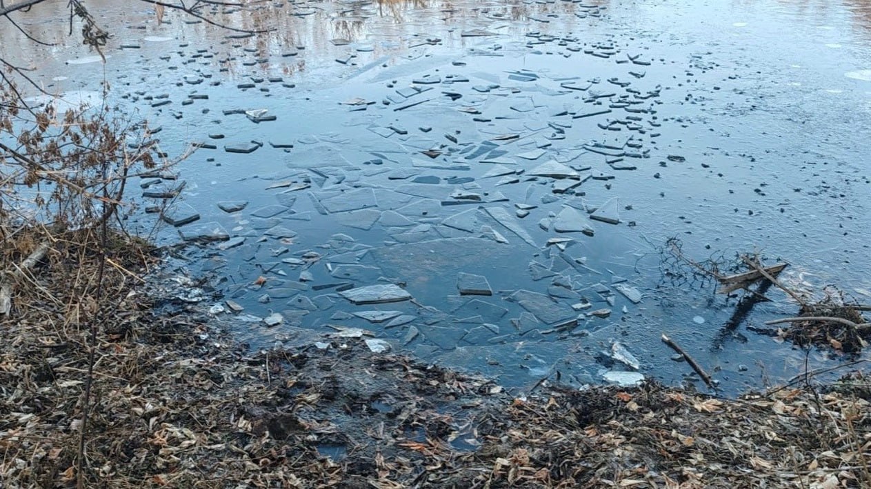 Оренбург Медиа СК начал проверку по факту гибели ребенка на реке в Оренбуржье СУ СК РФ по Оренбургской области проводит проверку по факту гибели ребенка на реке в Кваркенском районе На место выехали специалисты следственного комитета Инцидент произошел сегодня днем в Айдырле Двое детей провалились под тонкий лед Одного из них спасли очевидцы второй погиб На место инцидента около подвесного моста вызвали пожарно спасательные подразделения Тело погибшего извлекли сотрудники МЧС России Следствием выполняются необходимые проверочные мероприятия направленные на установление обстоятельств и причин гибели ребенка говорится в заявлении СК Оренбург подробнее на канале Оренбург Медиа