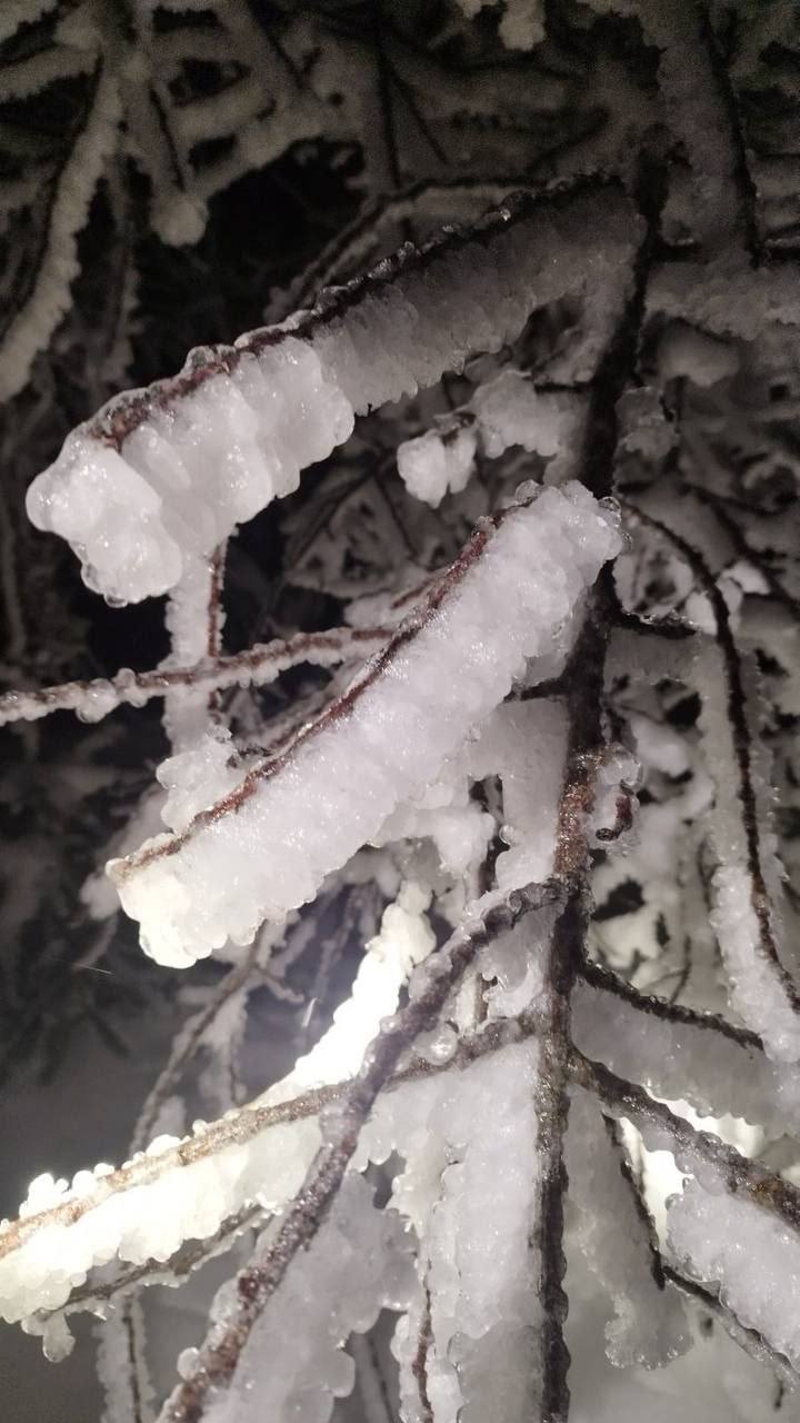 Энергетики восстанавливают электроснабжение в населенных пунктах пострадавших от непогоды За прошедшие сутки нарушалось электроснабжение в 227 населенных пунктах страны Больше всего отключений зафиксировано в Гродненской Гомельской и Минской областях Линии электропередачи повреждены из за непогоды налипания снега и обледенения Энергетики работают в круглосуточном режиме для оперативного устранения технологических нарушений По состоянию на 8 00 задействовано 19 аварийных бригад в количестве порядка 60 человек и 20 единиц техники В случае обнаружения оборванных проводов линий электропередачи не подходите к ним ближе 8 метров и немедленно сообщайте о данных фактах Короткий номер аварийных служб 115 и 144 Энергоснабжающие организации продолжают непрерывный мониторинг ситуации Сегодня днем по Беларуси пройдут осадки в виде мокрого снега с дождем ожидается сильный гололед Порывы ветра во многих регионах достигают 15 20 м с Приносим извинения за доставленные неудобства и благодарим за понимание