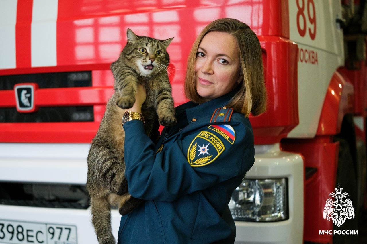 Кот-пожарный Толик, несущий свою службу в 89 пожарной части и входящий в кошачий отряд Семёнычей, в преддверии Дня спасателя Российской Федерации получил свое первое звание – прапорщик внутренней службы.   «За добросовестное выполнение своих кошачьих обязанностей, а именно – ловлю грызунов в пожарной части, снятие стресса у сотрудников; активное участие в жизни «пожарного» братства, а также в преддверии Дня спасателя Российской Федерации присвоить коту Анатолий  звание «прапорщик внутренней службы»!»,- поздравил пушистого коллегу начальник караула 89 пожарной части Дмитрий Хозяшев, крепко пожав лапу.   Старший инженер Татьяна Прошина изготовила для кота специальные погоны маленького размера. В дальнейшем планируется сшить ему форму.   «Толик у нас – мастер на все лапы, в чем вы могли убедиться по нашим фотографиям, выставляемым в социальных сетях:он и рукава может просушить, и книгу службы заполнить, и подменить дневального на дежурстве, и принять вызов о пожаре по телефону…»,- с улыбкой рассказывает Татьяна.