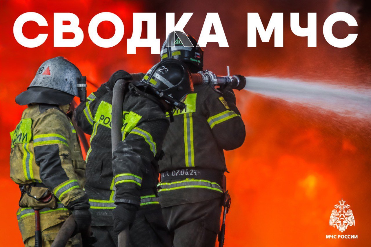 За дежурные сутки на Смоленщине огнеборцы ликвидировали семь пожаров: горение в гараже ГСК «Зенит»; возгорание легкового автомобиля в городе Сычевка; возгорание легкового автомобиля на трассе М-1 в Ярцевском муниципальном округе; горение неэксплуатируемого здания в Смоленске на улице Большая Краснофлотская; возгорание бросового строения в деревне Крапивна Рославльского округа; два возгорания мусора. Пожарно-спасательные подразделения реагировали на одно дорожно-транспортное происшествие: на 225 километре трассы М-1 в Вяземском округе. Помощь сотрудников МЧС России не потребовалась. Пострадавших нет. Происшествий на водоемах области не произошло. #МЧСРоссии #СводкаМЧС_Смоленск