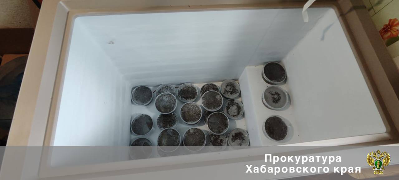 В Хабаровском крае перед судом предстанут двое местных жителей за браконьерство Прокуратура Ульчского района утвердила обвинительное заключение по уголовному в отношении двух местных жителей. Они обвиняются по ч. 3 ст. 258.1 УК РФ незаконные добыча, хранение и перевозка водных биологических ресурсов, совершенные организованной группой . В мае 2024 года обвиняемые нелегально выловили в реке Амур в Ульчском районе более 20 особей рыбы семейства осетровых, извлекли из них икру общим весом около 215 кг, а затем перевезли ее и хранили в гараже до момента изъятия сотрудниками полиции. Для совершения преступления соучастники использовали орудия лова, маломерное судно, автомобиль, а также арендовали жилье. Причиненный государству ущерб составил более 7 млн рублей. Уголовное дело направлено в Ульчский районный суд для рассмотрения по существу.