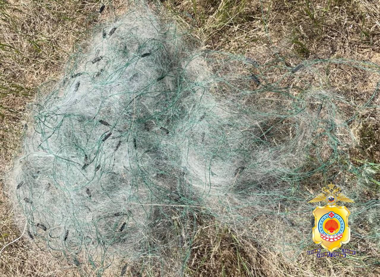 В Ики-Буруле задержан мужчина за незаконную добычу редкой рыбы.  Полицейские отделения полиции п. Ики-Бурул выявили факт незаконной добычи водных биоресурсов. Участковый остановил автомобиль, за рулём которого находился 35-летний житель Ставрополья. В багажнике были обнаружены 36 экземпляров рыбы редких видов, перевозимой без разрешительных документов. Мужчина признался в использовании запрещённых ставных сетей. Полицейскими были изъяты и направлены на экспертизу: ставная сеть длиной 103 метра, резиновая лодка и выловленные незаконным путем экземпляры рыбы. По результатам экспертизы будет принято процессуальное решение.  Фото: МВД Калмыкия  Быть в курсе   Прислать новость