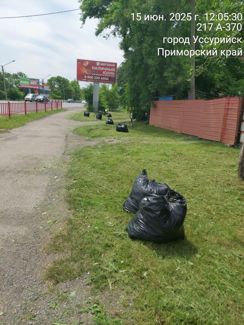 Зеленые насаждения в округе приводят в порядок Специалисты продолжают работы по корчевке пней и санитарной обрезке деревьев на территории округа. На улице Тургенева от пня освобожден участок парковочной зоны. Работы по обрезке сухих ветвей производились по адресам: Вокзальная дамба,31; Фрунзе,119; ул. Молодежная с. Каймановка. Также рабочими выполняется покос травы на неразграниченных территориях и участках вдоль автомобильных дорог на ул. Некрасова, Новоникольское шоссе, Можайского, Мельничная, Выгонная, Солдатская. Всего на данный момент выкошено около 40 тыс. кв.м. муниципальной территории.