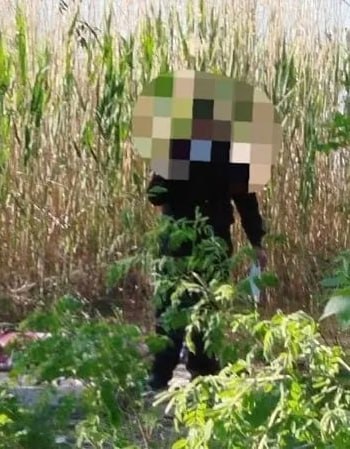 В Ростове на Зеленом острове нашли тело женщины. Очевидцы обнаружили труп в районе улицы Островной. Он лежал в воде. На место трагедии прибыли спасатели и вытащили тело на берег. Личность и причину смерти выясняются.