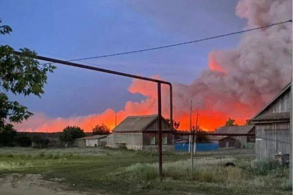 У крупного пожара, практически уничтожившего памятник природы регионального значения «Салтовский лес», оказался конкретный виновник. Следователи сейчас работают с 18-летним молодым человеком, который поджег сухую траву ради развлечения.  Сумма причиненного ущерба составила почти миллион рублей.