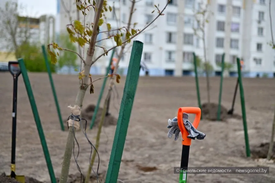 В Гомеле приглашают принять участие в республиканском субботнике Этот субботник прекрасная возможность не только сделать доброе дело но и провести время с пользой в кругу единомышленников укрепить наши дружеские и рабочие связи Подпишитесь на Гомельские ведомости