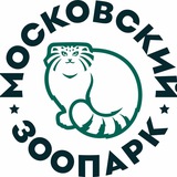 Аватар Телеграм канала: Московский зоопарк