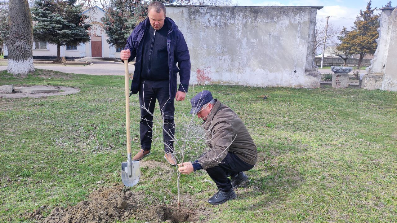 Ко Дню воссоединения Крыма с Россией в Голопристанском округе состоялась высадка деревьев   В рамках празднования одиннадцатой годовщины со дня воссоединения Крыма с Россией в Бехтерском сельском поселении провели высадку деревьев. На территории Дома культуры присутствующие посадили более 20 саженцев клена и дуба.   Участие в мероприятии приняли Глава округа Виталий Титаренко, сотрудники администрации, заместитель председателя Совета депутатов Виталий Кравчук, коллектив Центра культуры и досуга и неравнодушные местные жители.   «Подобные мероприятия способствуют сохранению исторической памяти, напоминают нам о том, как важно помнить страницы нашей истории и то, что наша сила в единстве. Пусть саженцы,посаженные в этот день, станут символом надежды, роста и процветания для всего Крыма и нашей великой Родины», - отметили в администрации Голопристанского муниципального округа.  #ГолаяПристаньСегодня  #ГолопристанскийОкруг    Подписаться во ВКонтакте    Подписаться в Одноклассниках