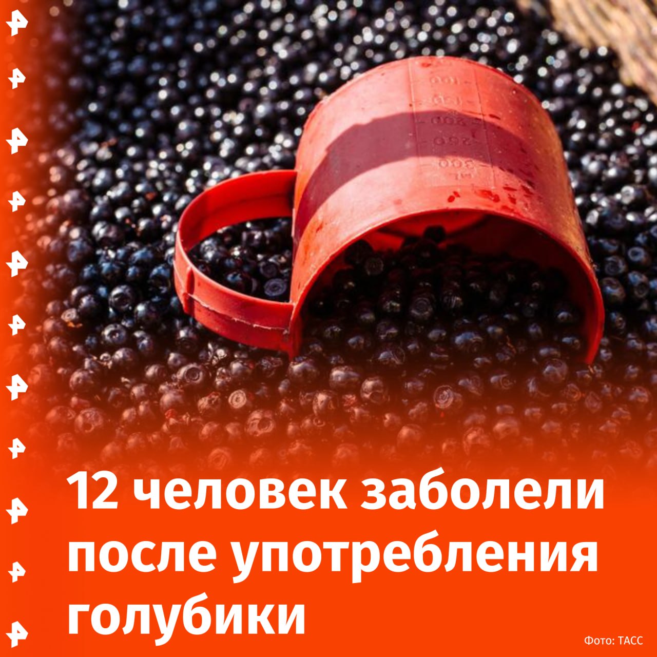 Как минимум 12 человек заразились гепатитом после употребления голубики в Нидерландах, однако количество заболевших на самом деле уже может перевалить за сотню.   Все заболевшие покупали замороженные ягоды в крупнейшей сети супермаркетов страны Albert Heijn. Двоим из них было настолько плохо, что их пришлось госпитализировать.  Сеть уже приняла решение об изъятии продукта из своих магазинов, пишет портал Nunl со ссылкой на представителя Национального института общественного здравоохранения страны.  "Не исключено, что заражены могут быть уже сотни человек. Albert Heijn настоятельно просит покупателей, которые уже приобрели продукт со сроком годности до 14 апреля 2026-го года, не употреблять ягоды и вернуть их в магазин", — отметил он.  Уточняется, что при возврате замороженной голубики супермаркет обещает вернуть все деньги за продукт.       Отправить новость