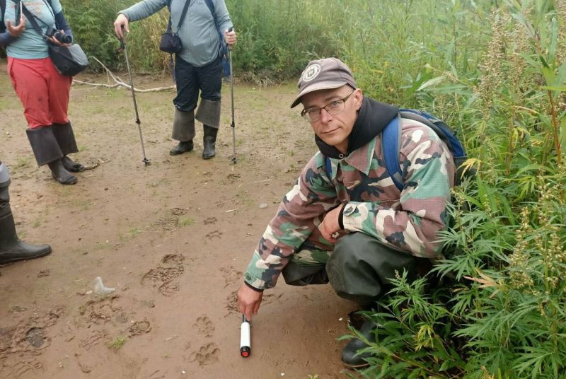 В заказнике на Камчатке туристов по тропе сопровождают полярные волки На туристической тропе в Южно Камчатском федеральном заказнике наследили волки передаёт РАИ КАМЧАТКА ИНФОРМ со ссылкой на Кроноцкий заповедник Отпечатки лап скрытного зверя государственные инспекторы и туристы на днях обнаружили недалеко от кордона Травяной во время пешего туристического маршрута Загадки Хакыцина Следы мы видели и у смотровой вышки в устье нерестовой реки Хакыцин впадающей в Курильское озеро и у пемзовой скалы Сыпучий камень которая находится в среднем течении Скорее всего волк подбирал там отнерестившуюся нерку рассказал госинспектор Александр Хачукаев В заповеднике отметили что это не первое в этом году доказательство присутствия волков в окрестностях Курильского озера На другом его берегу ближе к кордону Озёрный в феврале фотоловушка зафиксировала ночной променад хищника у ручья Жареный А 29 июля молодой зверь попал в объектив автоматической камеры установленной в середине познавательного маршрута к бухте Северной где туристы наблюдают за медвежьей рыбалкой Полярные тундровые волки входят в список обитателей Южно Камчатского федерального заказника Но встречи с ними здесь крайне редки КАМЧАТКА ИНФОРМ новости Камчатки в Telegram Фоторепортажи и эксклюзивные материалы на kamchatinfo com НАПИСАТЬ НАМ