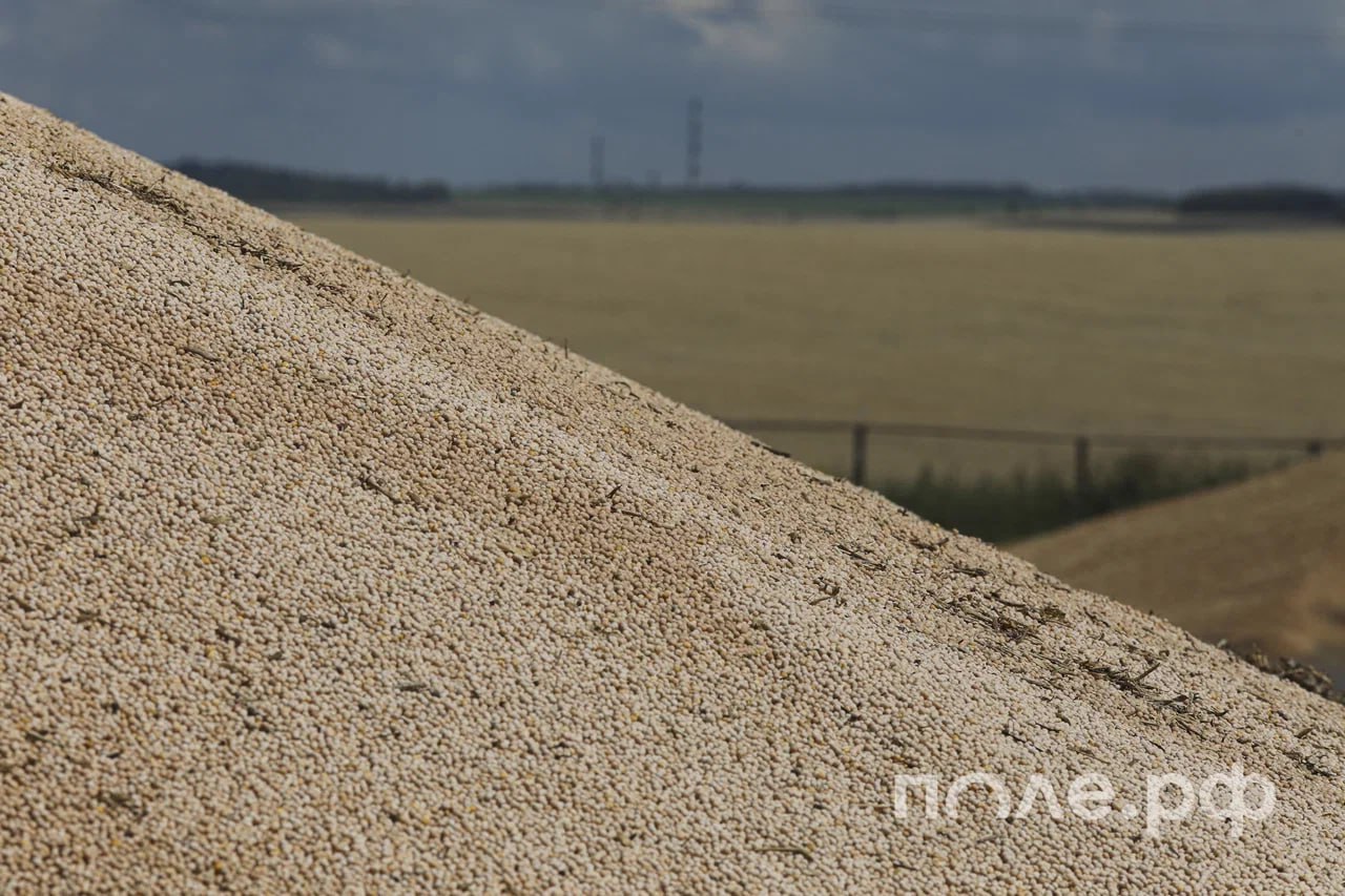 Россия экспортировала 50 млн тонн зерна в 2025 году В том числе 41 млн тонн пшеницы сообщила министр сельского хозяйства РФ Оксана Лут на IV международном World Grain and Pulses Forum в Дубае Она отметила что география поставок достаточно стабильна на протяжении последних 10 лет и охватывает порядка 115 стран мира На данный момент 78 экспорта пшеницы приходится на страны Африки и Ближнего Востока Подробнее Подписывайтесь на нас в Telegram в MAX Оставляйте бусты