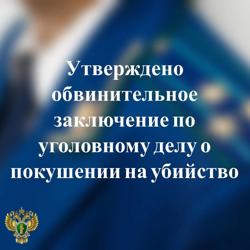 В прокуратуре Петрозаводска утверждено обвинительное заключение по уголовному делу в отношении 16-летнего местного жителя   Он обвиняется по ч. 3 ст. 30, п.п. «а,к» ч. 2 ст. 105 УК РФ  покушение на убийство двух лиц, совершенное с целью скрыть другое преступление .  По версии следствия, вечером 22 апреля 2024 года обвиняемый, находясь в гостях у двух подруг в г. Петрозаводске, в ходе ссоры с одной из них решил убить девушку и нанес ей не менее семи ударов ножом по телу. Осознавая, что его действия стали очевидны для второй подруги, молодой человек с целью убийства последней ударил ее ножом по телу не менее семнадцати раз.   Довести преступный умысел до конца обвиняемый не смог, так как врачи своевременно оказали потерпевшим медицинскую помощь.   После вручения копии обвинительного заключения уголовное дело будет направлено в суд для рассмотрения по существу.