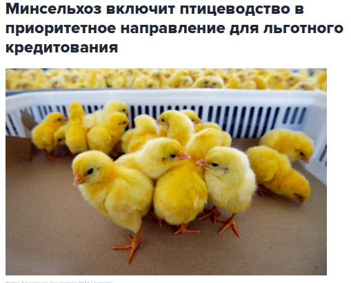 Минсельхоз планирует включить производителей мяса птицы в число приоритетных получателей льготных кредитов ставка по ним будет компенсироваться на 70 от ключевой jkinvest news jkinvest