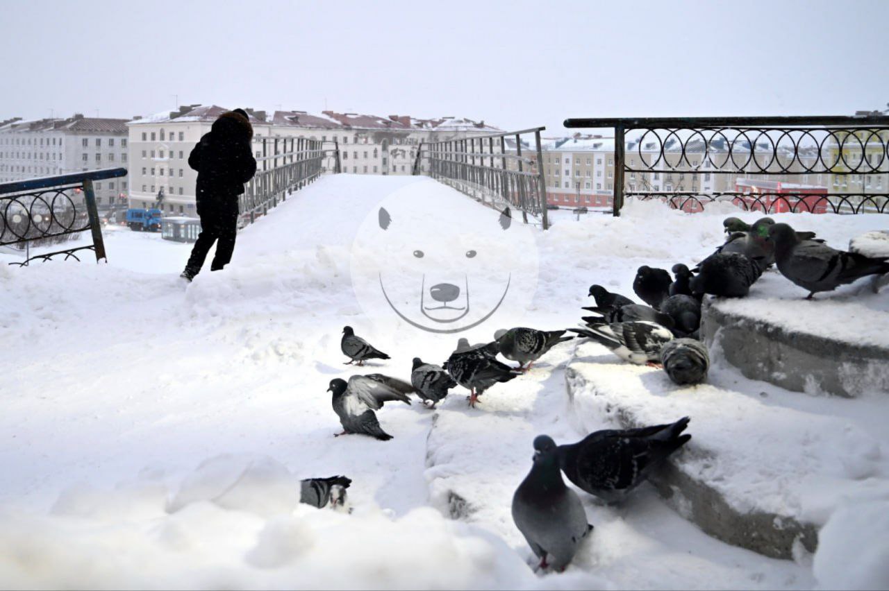 Норильские дорожники в круглосуточном режиме ведут борьбу с последствиями снегопада  В минувшие выходные город завалило снегом. Не сказать, что снегопад был мощным, - норильчане видели и куда более обильные осадки, но улицы, как это чаще всего и бывает, очень быстро засыпало.   По данным Таймырского ЦГМС, только за сутки 17 ноября выпало 3,8 мм осадков. В администрации города сообщили, что за выходные с улично-дорожной сети вывезли порядка 4 тыс. тонн снега, а противогололедным материалом обработали 112 километров.  На улицах города работает 63 единицы техники: грузовики, грейдеры, погрузчики. Это штатная норма. Однако в случае обильного снегопада количество будут увеличивать, исходя из актуальных метеоусловий. Дороги расчищаются в круглосуточном режиме.  Добавим, что в городе действуют госстандарты по вывозу снега. Единовременно расчистить всю территорию города невозможно, поэтому дорожники в первую очередь расчищают улицы и только потом дворы. А на вывоз снега дается 9 суток.    Написать нам: