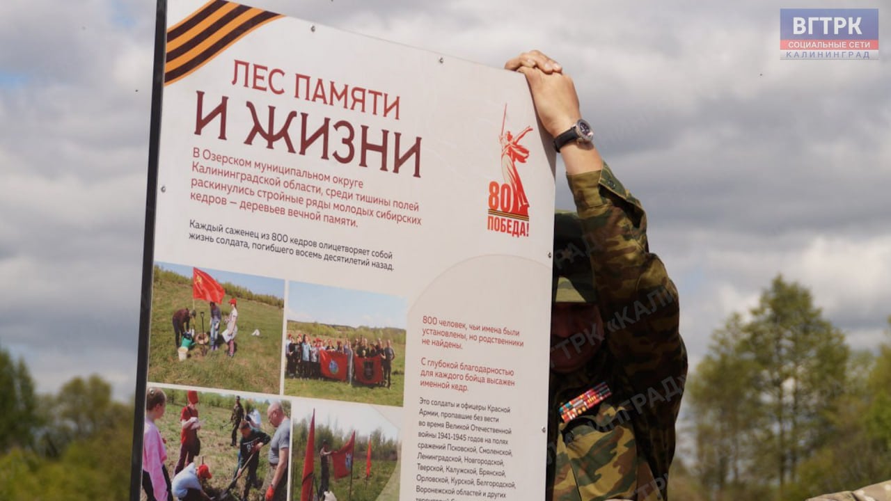 Лес памяти и жизни. В Озёрском муниципальном округе местные жители при поддержке национального парка «Виштынецкий» установили информационный стенд с названием «Лес памяти и жизни». Уже несколько лет на участке в районе посёлка Плавни активисты поискового движения вместе со школьниками и студентами высаживают кедры, каждому из которых дают имя красноармейца, который считался пропавшим без вести.