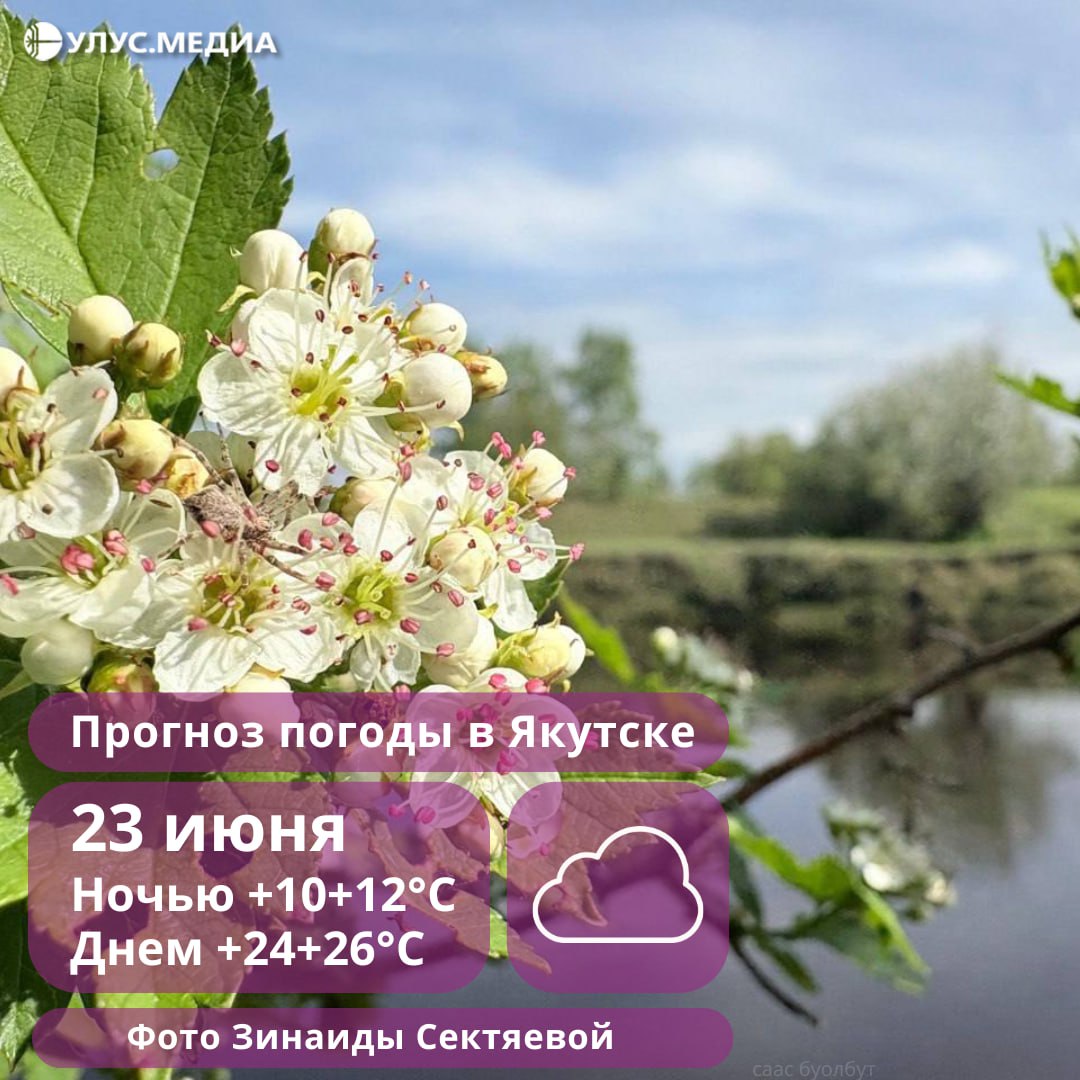 Сильные дожди и грозы ожидаются в районах Якутии 23 июня По прогнозу ЯУГМС, 23 июня дожди пройдут в Ленском, Олекминском, Мирнинском, Нюрбинском, Сунтарском, Верхневилюйском и Вилюйском районах. Также осадки прогнозируются днём в Хангаласском районе, на западе Алданского и Нерюнгринского районов. Количество осадков может превысить 11 мм. В отдельных районах возможны грозы и усиление ветра до 15–20 м/с. На северо-востоке Якутии прогнозируется небольшой, местами умеренный дождь. На западе, юго-западе, а также днём в южных и центральных районах пройдут кратковременные дожди, местами с грозами. В Мирнинском районе местами ожидаются сильные осадки. Ветер будет умеренным, при грозах порывистым до 15–20 м/с. Температурный фон по республике: Ночью: +7+12°, на западе — до +15+20°, на севере — от +2 до +7°. Днём: +20+25°, на юго-западе и юге — до +25+30°, на севере — +12+17° В Якутске, преимущественно без осадков, ветер северо-западный, 5–10 м/с.