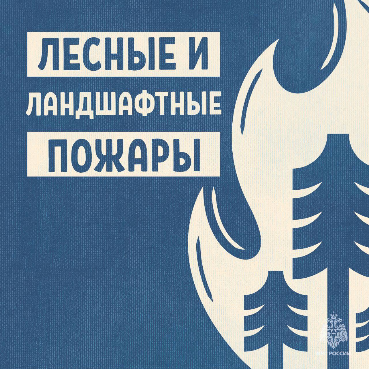 МЧС России напоминает: не сжигай сухую траву С наступлением летнего периода растёт угроза возникновения лесных и ландшафтных пожаров. Часто такие пожары являются следствием неосторожного обращения с огнём или преднамеренного поджигания сухой травы. Подобные палы могут привести к серьёзным последствиям, как для природы, так и для здоровья людей. Изучи памятку и соблюдай правила пожарной безопасности!