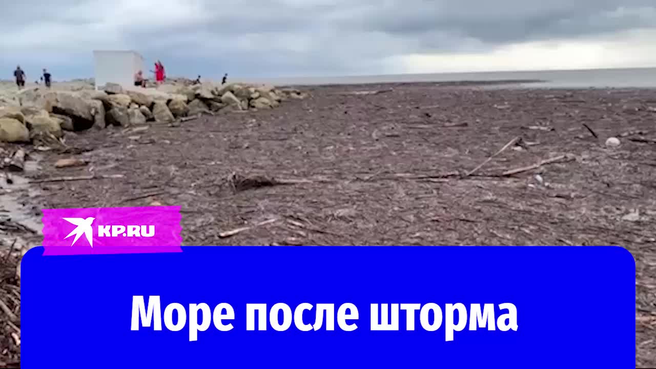 Туристы в Джубге создают плот из бревен во время наводнения