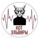 Кот Эльвиры
