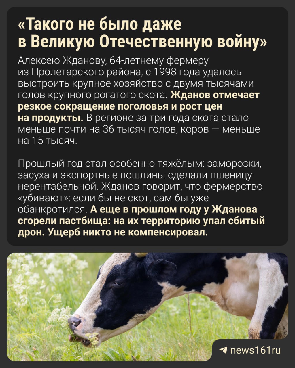 Прошли те времена, когда килограмм сливочного масла ростовчанину стоил 551 рубль, а говядины — 410 рублей. Времена не столь далекие: такие цены в Ростове были осенью 2021 года. Теперь цены выросли. При этом цены на молочную продукцию растут несопоставимо быстрее, чем на мясную, следует из данных Ростовстата. Они массово разоряются, сдают поголовье на мясокомбинаты, чтобы погасить кредиты, и бросают сельское хозяйство. Спецкор Ирина Бабичева рассказывает, как отрасль захватил кризис.