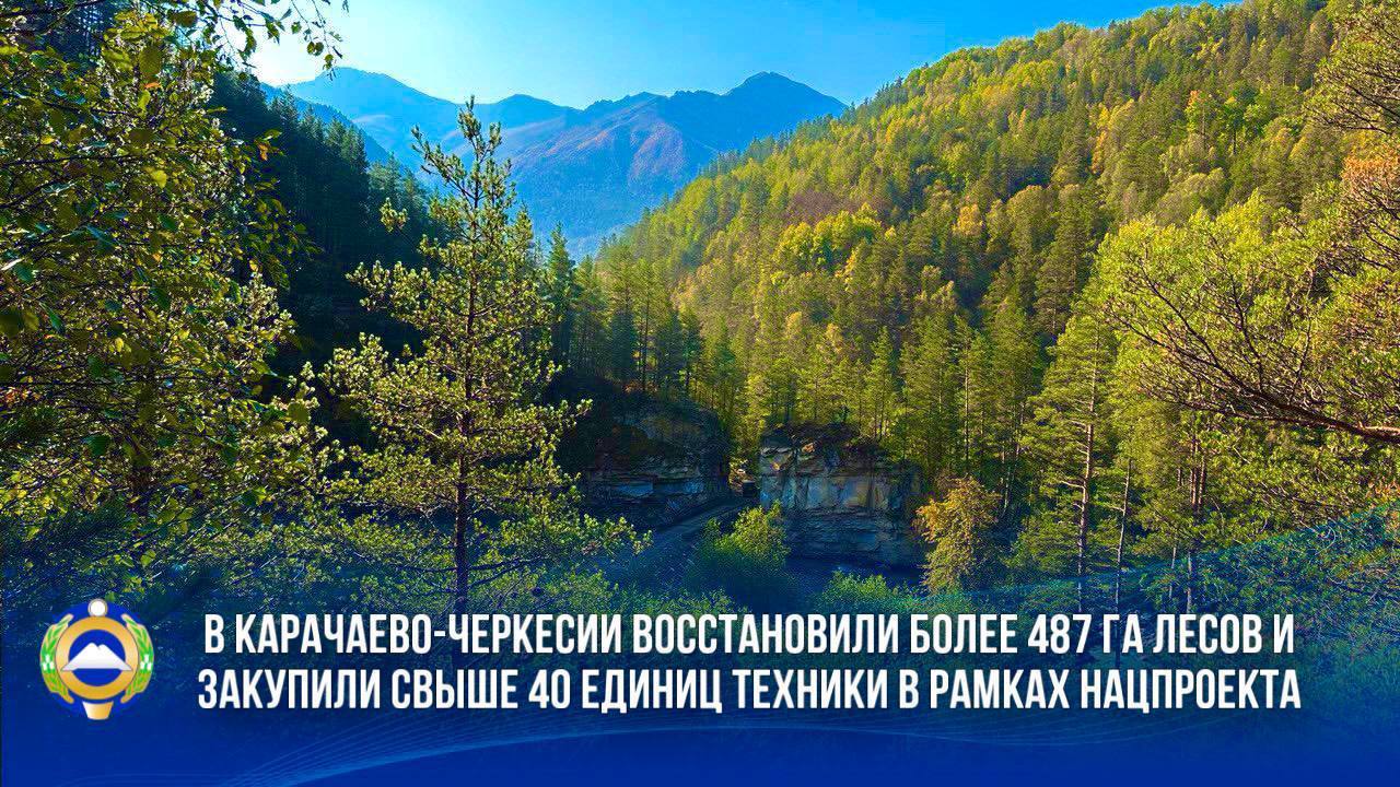 В КЧР восстановили более 487 га лесов  В рамках федерального проекта «Сохранение лесов» нацпроекта «Экология», разработанного по поручению Президента России, с 2019 года восстановлено более 487 га лесов на территории республики.    Только в этом году восстановлено на площади порядка 130 га леса, в том числе проведены работы по естественному лесовосстановлению на площади более 199 га, искусственному -  2 га и другие виды работ. Помимо этого, по традиции осуществили мероприятия по агротехническому уходу на площади более 34 га.  Кроме того, благодаря проекту, с 2019 года было закуплено более 40 единиц техники для проведения комплекса мероприятий по охране лесов от пожаров. В этом году лесопожарную службу республики оснастили еще на 4 единицы.   Рашид Темрезов: Особый вклад в восстановление и сохранение лесов внесли и сами жители Карачаево-Черкесии. Волонтеры, школьники, сотрудники организаций, предприятий и просто неравнодушные к природе нашего региона граждане демонстрировали высокую явку и активность в различных экологических акциях и мероприятиях по посадке леса. Только в текущем году, дорогие земляки, благодаря вашим усилиям, на территории республики появилось более 17 тыс. молодых деревьев. Хочу выразить вам искренние слова благодарности за любовь и сопричастность к судьбе родной республики и всей страны в целом.