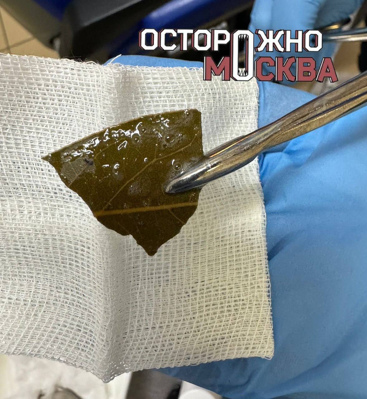 ЛОР-врачи московской больницы спасли пациента от лаврового листа.   В приемное отделение ГКБ им. М.П. Кончаловского за помощью обратился мужчина с жалобами на першение в горле. Он рассказал, что появилось оно после обеда, и вспомнил – в меню был суп с «лаврушкой». В результате осмотра врачи-оториноларингологи выяснили, что мужчина во время еды смотрел телевизор и случайно проглотил крупный фрагмент лаврового листа. Тот встал поперек гортани.     «Можно сказать, что человеку очень повезло. Если бы размер инородного тела был меньше, то пациент вдохнул бы его. Это могло спровоцировать бронхоспазм, ларингоспазм, и мужчина мог задохнуться», - отметила врач-оториноларинголог Елена Непряхина. Госпитализация не понадобилась, врачи-оториноларингологи аккуратно извлекли инородный предмет из гортани, и мужчина отправился домой.