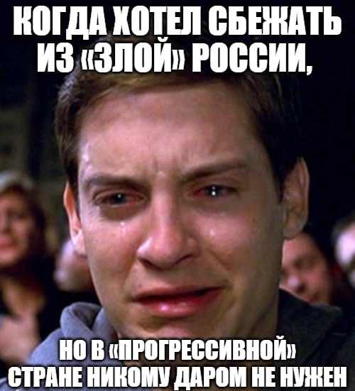 Убежантов массово выдворяют из Финляндии После начала СВО многие были твердо уверены что уж в прогрессивной Финляндии их встретят с распростертыми объятиями однако теперь на собеседованиях граждане РФ все чаще получают от ворот поворот Порядка 90 россиян отказали в убежище сообщили в финской полиции Кроме того даже тех кто смог пробраться в страну активно выдворяют С января по сентябрь из Финляндии выслали 104 россиянина Подпишитесь на Абзац Добавьте Абзац в ленту Дзена