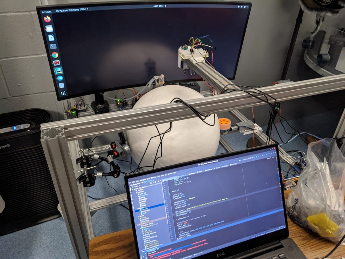 Лол что Крыс научили играть в DOOM через VR установку Инженер YoloRun создал полноценный проект шар для ходьбы панорамный экран и рычаг для стрельбы Движения крыс сразу переводятся в игру а за правильные действия они получают награду сахарную воду Испытуемые Тодд Кодзима и Гейб быстро приловчились и теперь спокойно двигаются по уровню и жмут на курок До полноценного прохождения не дошло крысы тупо постарели пока проходили обучение Нейросети DarkGPT BOT