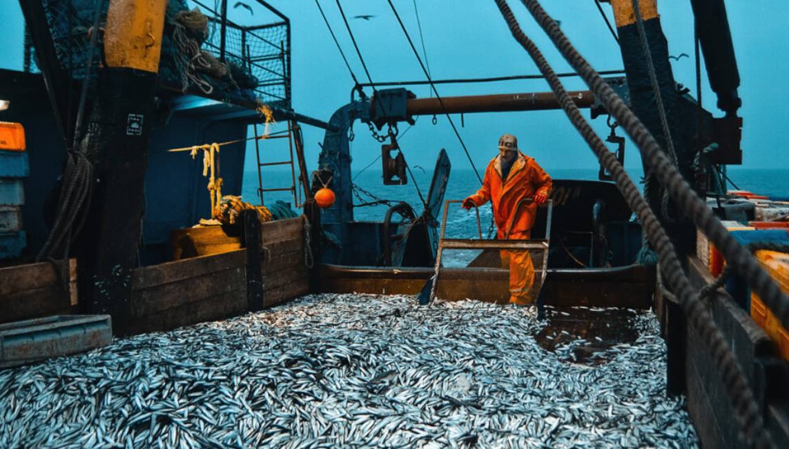 Мурманская рыба пошла за границу сотнями тонн За 2025 год из Мурманской области на экспорт отправили свыше 115 тысяч тонн рыбы и морепродуктов Лидером по объему закупок остался Евросоюз туда ушло почти 70 тысяч тонн Китай закупил 30 тысяч тонн рыбы а также живого камчатского краба больше полутысячи тонн включая авиаотгрузку Отдельно вырос интерес к морскому ежу и его икре поставки увеличились почти на 20 Основные покупатели ОАЭ Таиланд Китай Гонконг и Япония Подписаться Прислать новость