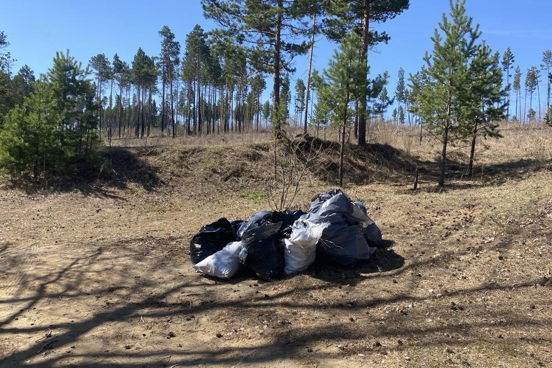 В центральной экологической зоне в Иркутской области ликвидированы все несанкционированные свалки на землях лесного фонда ЦЭЗ Байкальской природной территории включает в себя озеро Байкал с островами, прилегающую к нему водоохранную зону, а также особо охраняемые природные территории, прилегающие к озеру. В ЦЭЗ БПТ входят Голоустненское, Ольхонское и Слюдянское лесничества. «С 2019 года на территории ЦЭЗ озера Байкал зарегистрировано пять свалок, из них три – в Слюдянском районе на площади 2,96 гектара объемом 40,1 куб. м., две – в Ольхонском районе на площади 6,5 гектара объемом 1038 куб. м., в том числе одна из проблемных и труднодоступных – свалка крупногабаритного мусора в бухте Заворотная. До самой бухты необходимо было добираться по воде – 200 км от Малого моря. Чтобы ликвидировать свалку, доставлять технику и вывозить мусор пришлось на барже. С 2019 года в ЦЭЗ озера Байкал на землях лесного фонда ни одной новой масштабной свалки не возникло»,– рассказал министр лесного комплекса Иркутской области Павел Кирдяпкин. В целом, за прошедшие пять лет объем незаконных свалок заметно сократился. Этому способствовали, в том числе меры по недопущению возникновения новых свалок. Министерством лесного комплекса разработаны дополнительные маршруты наземного патрулирования в местах с наибольшей нагрузкой. В ЦЭЗ озера Байкал в два раза увеличено количество патрулирований.
