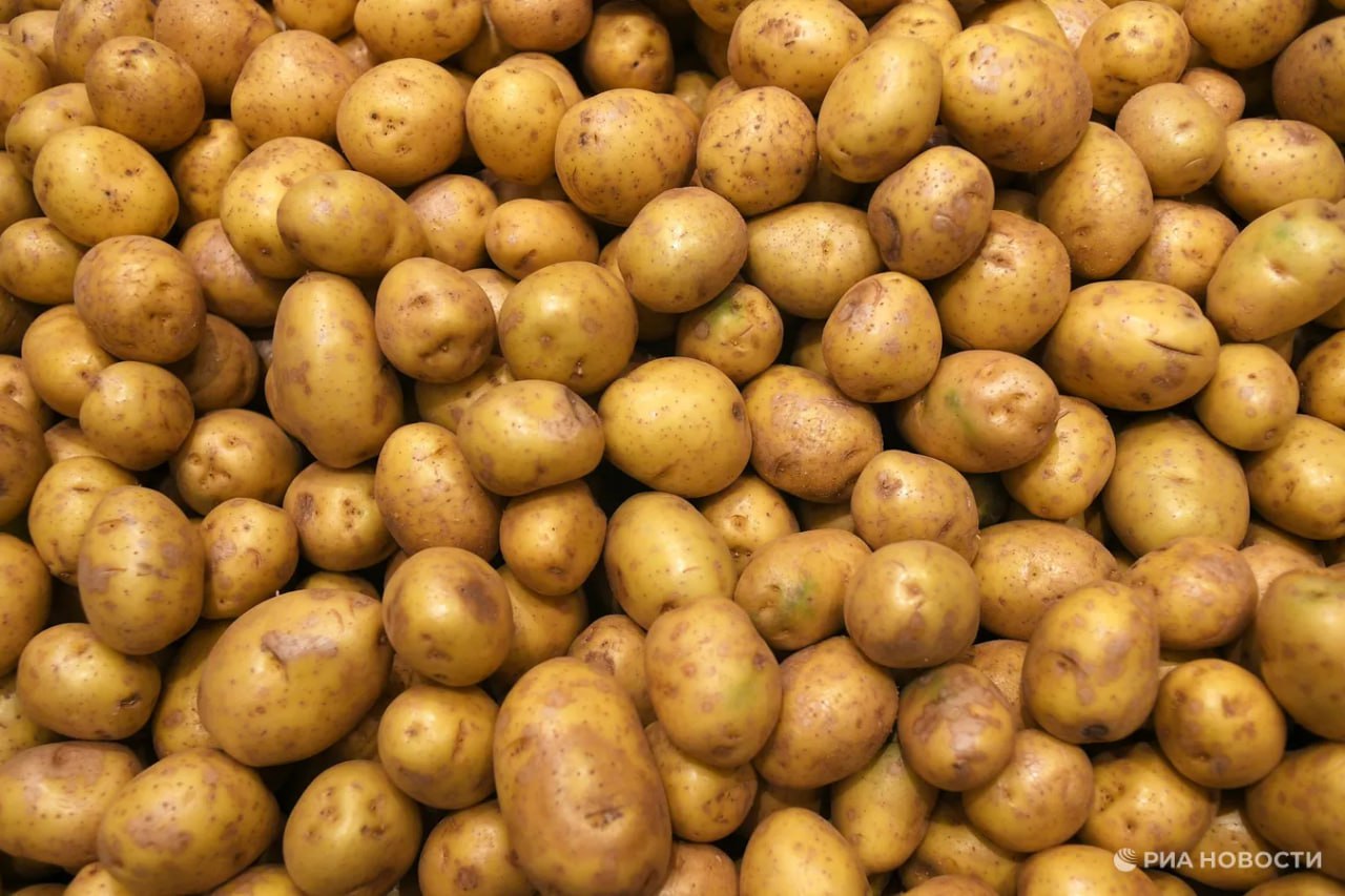 Китайского картофеля в России стало больше Все дело в том что Россия в прошлом году импортировала его из Поднебесной на сумму 62 7 млн 167 8 тыс тонн это стало новым рекордным значением подсчитало РИА Новости по данным китайской таможни Благодаря этому наша страна заняла третье место среди основных покупателей картофеля из Китая Выше только Малайзия и Вьетнам Подписаться на РИА Новости экономика Все наши каналы