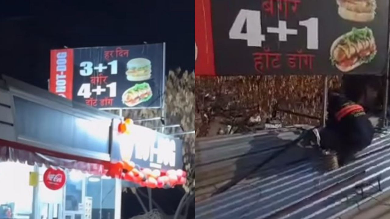 В Ташкенте демонтировали завирусившуюся рекламную вывеску на хинди видео   repost uz tugadi narushenie je Подписывайтесь на Repost