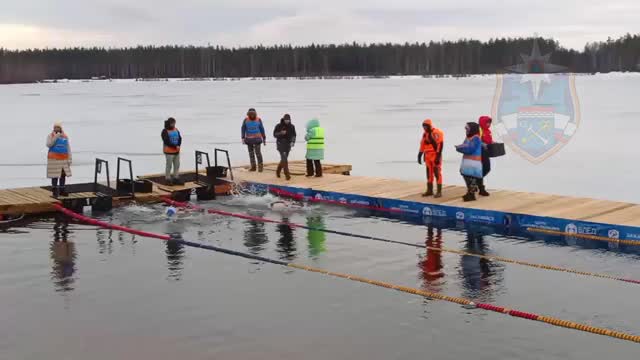 Заплыв моржей в память о девушках-лесорубах прошел под Всеволожском