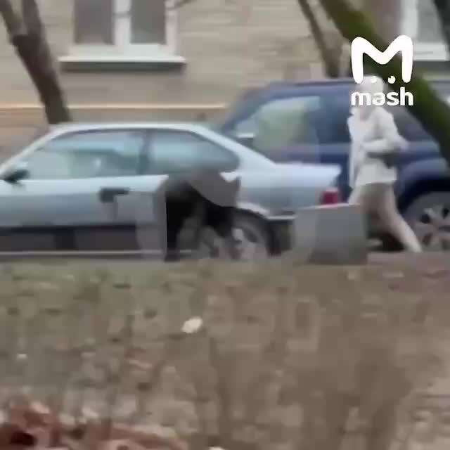 Встречи с дикими кабанами: советы по безопасности и актуальная ситуация в Крыму и Московской области