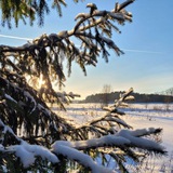 Аватар Телеграм канала: Ильинское. Новости