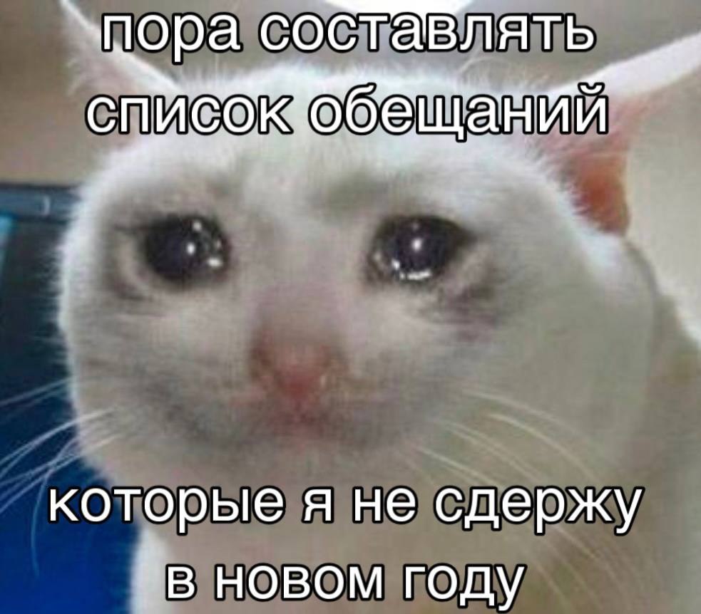 А вы даёте себе новогодние обещания Год клонится к закату и это самое время не только для мандаринов и ёлки но и для мыслей о прожитом и грядущем Социологическое агентство Вебер рассказало как россияне относятся к новогодним обещаниям и итогам года Обещания себе дают лишь 12 россиян Но среди этой целеустремлённой группы 67 честно соблюдают свои обещания весь год или большую его часть Вот это сила воли А вот рефлексируют и подводят итоги года 69 это уже большинство О чём же они чаще всего думают вспоминая год 23 о семье отношениях и близких А у 14 опрошенных итоги года логично перетекают в мысли о будущем планах и целях на следующий год Тамбовский волк Тамбовский волк в MAX