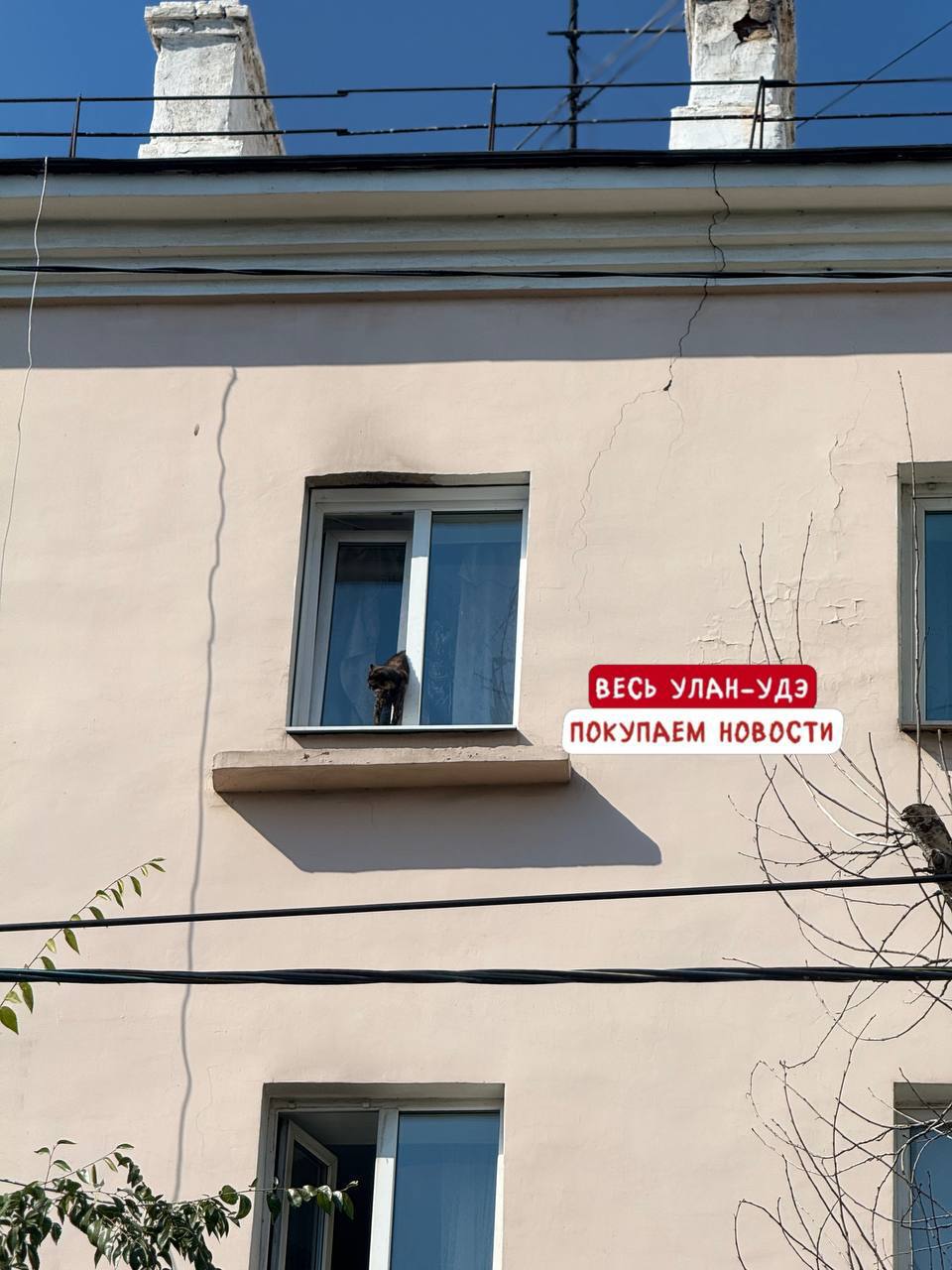 В Улан Удэ кот едва не погиб застряв в окне Оно было открыто на режим проветривания и любопытный малыш решил пролезть через щель Но застрял Как сообщает Весь Улан Удэ на помощь пришли прохожие которые услышали вопли кота Они вызвали спасателей и хозяев Малыш остался целым и невредимым