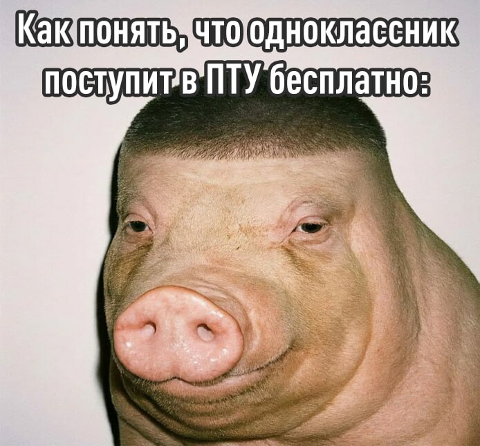 Не сдавшие ОГЭ девятиклассники смогут бесплатно поступить в ПТУ соответствующий закон приняла Госдума Таким образом хотят увеличить специалистов в рабочих профессиях В колледжи и техникумы будут принимать даже с заваленными экзаменами Зумеры расслабились exploitex