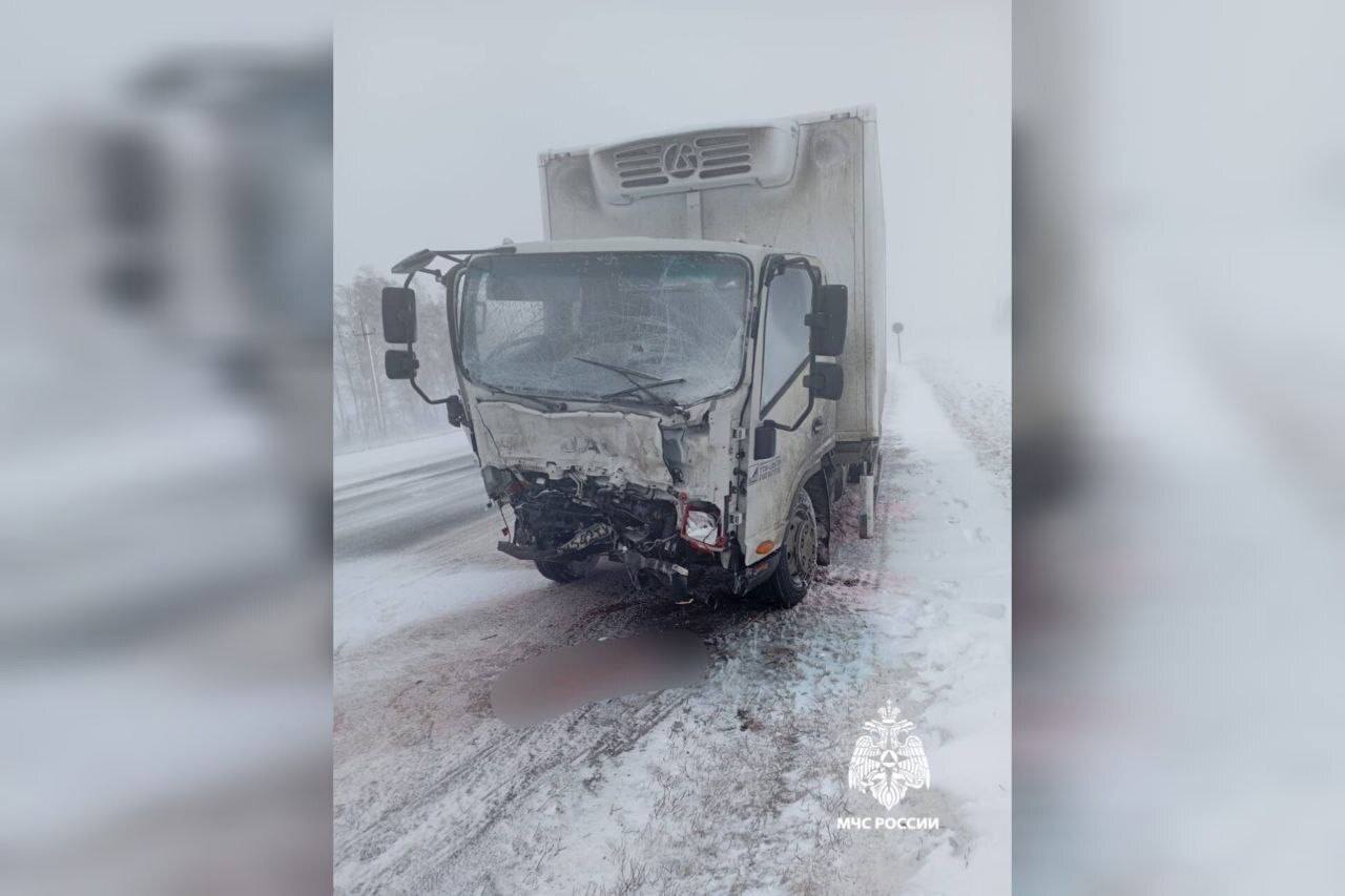 Смертельное ДТП произошло на трассе в Оренбургской области   На трассе в районе села Воздвиженка в Пономарёвском районе с грузовиком столкнулась «Нива». В результате погиб водитель отечественного внедорожника.  Сотрудники МЧС деблокировали погибшего из авто.