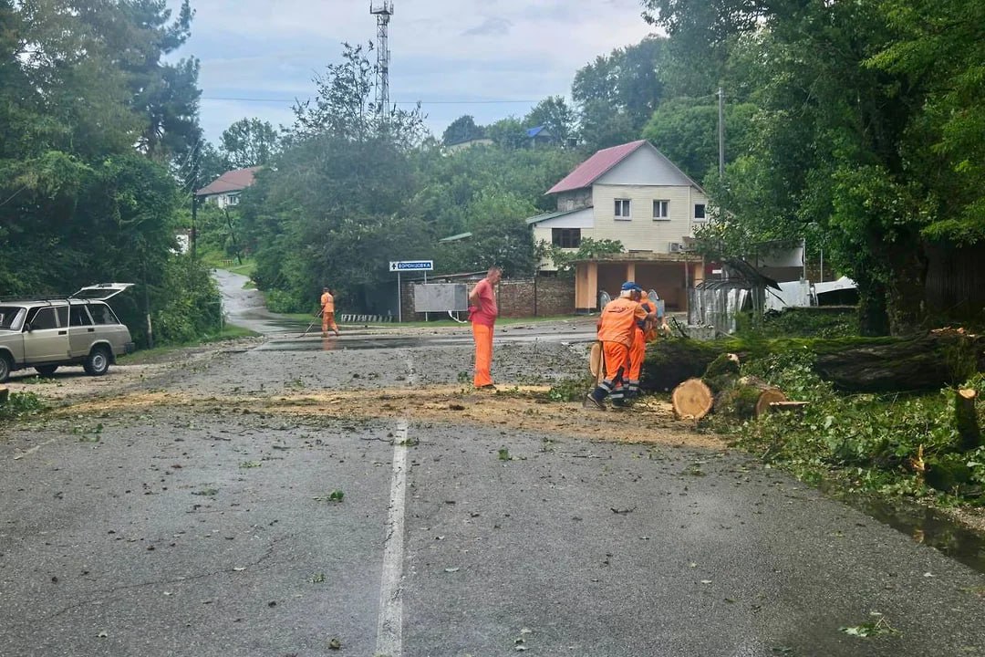 В Сочи из-за непогоды упали несколько деревьев и подтопило дороги В ночь на 8 августа в Лазаревском районе Сочи выпало до 95 мм осадков в предгорьях и свыше 40 мм в прибрежной зоне. На отдельных участках рек, в том числе Лоо и Хобза, зафиксирован подъем уровня воды, утром для оповещения жителей включались сирены. Критических отметок вода не достигла, сообщили в пресс-службе администрации города.